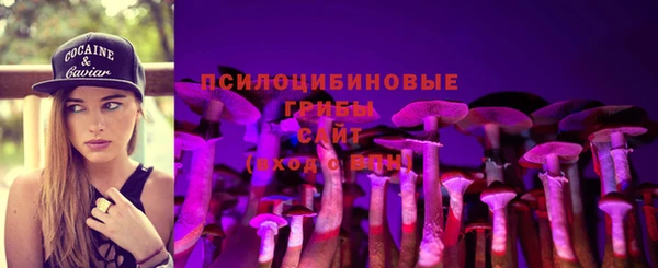 mdpv Балахна