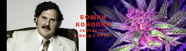 гидропоника Баксан