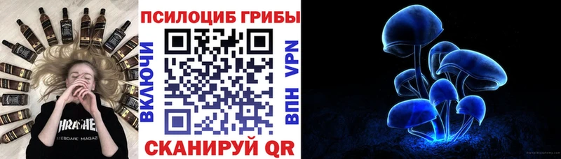что такое наркотик  Ликино-Дулёво  Галлюциногенные грибы Cubensis 